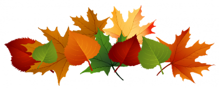 leaves