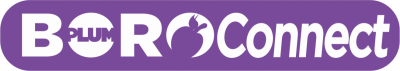 boro connect