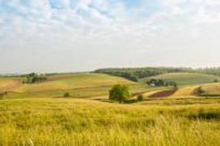 Expanse of green-yellow hills