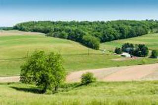 Green meadows