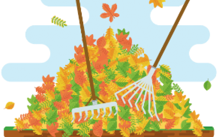Leaf collection